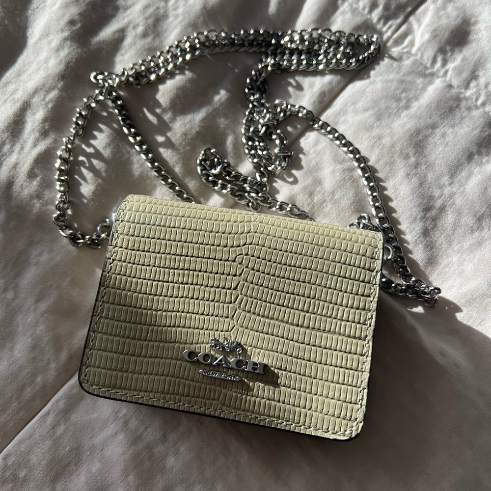 Coach mini wallet on a chain (pale green) NWOT